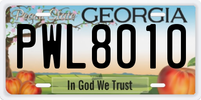 GA license plate PWL8010