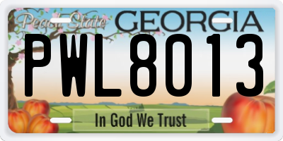 GA license plate PWL8013