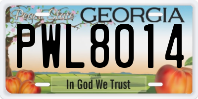 GA license plate PWL8014