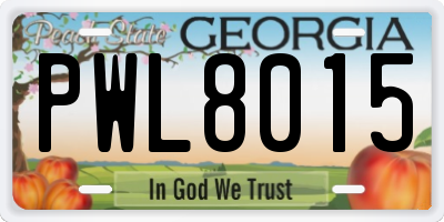 GA license plate PWL8015