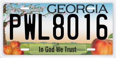 GA license plate PWL8016