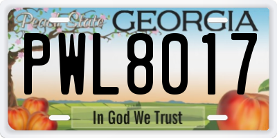 GA license plate PWL8017