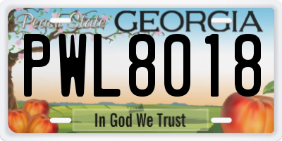 GA license plate PWL8018