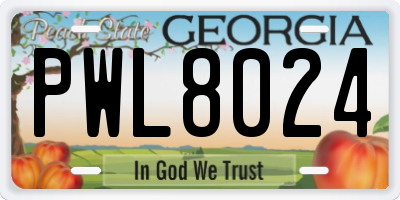 GA license plate PWL8024