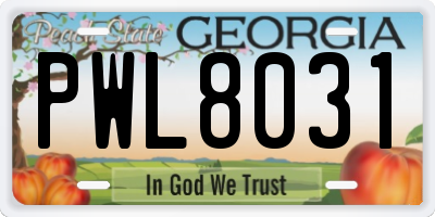 GA license plate PWL8031