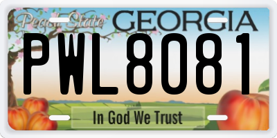 GA license plate PWL8081