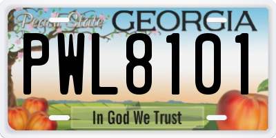 GA license plate PWL8101