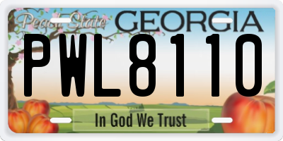 GA license plate PWL8110