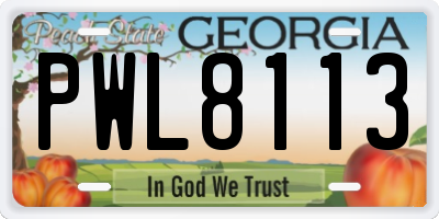 GA license plate PWL8113