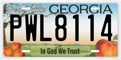 GA license plate PWL8114