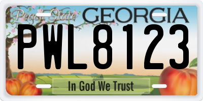 GA license plate PWL8123