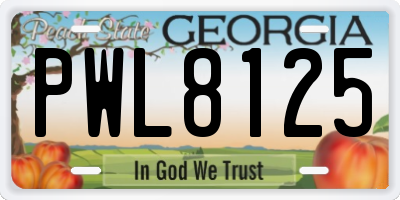 GA license plate PWL8125