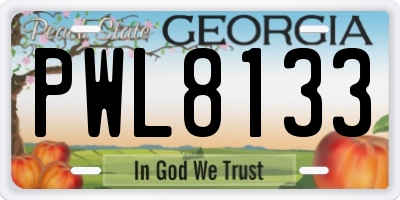 GA license plate PWL8133