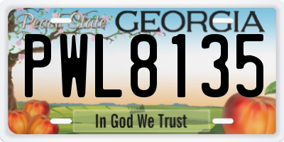 GA license plate PWL8135
