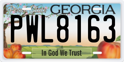 GA license plate PWL8163