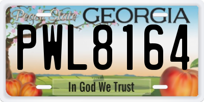 GA license plate PWL8164