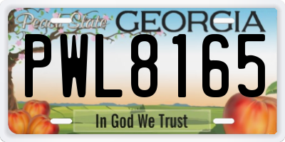 GA license plate PWL8165