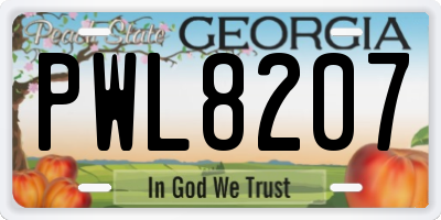 GA license plate PWL8207