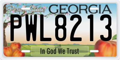 GA license plate PWL8213