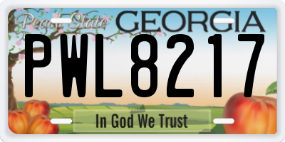 GA license plate PWL8217