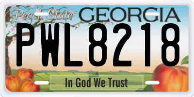 GA license plate PWL8218