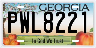 GA license plate PWL8221