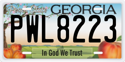 GA license plate PWL8223
