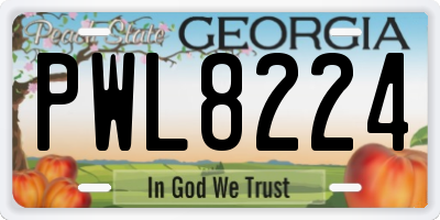 GA license plate PWL8224