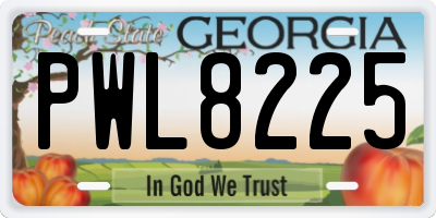 GA license plate PWL8225