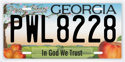 GA license plate PWL8228