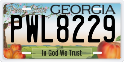 GA license plate PWL8229
