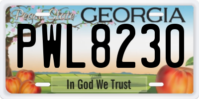 GA license plate PWL8230