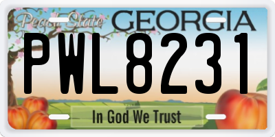 GA license plate PWL8231