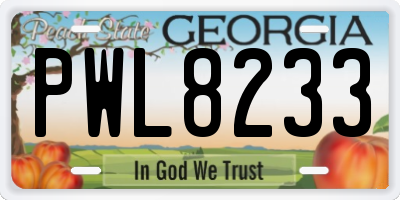 GA license plate PWL8233