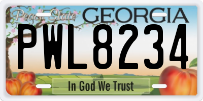 GA license plate PWL8234