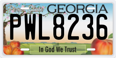 GA license plate PWL8236