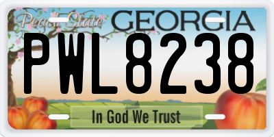 GA license plate PWL8238