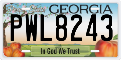 GA license plate PWL8243