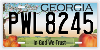 GA license plate PWL8245