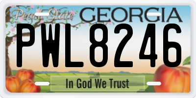 GA license plate PWL8246