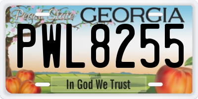 GA license plate PWL8255