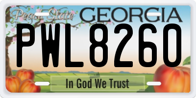 GA license plate PWL8260