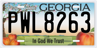 GA license plate PWL8263