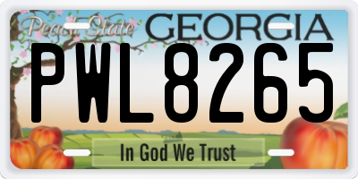 GA license plate PWL8265