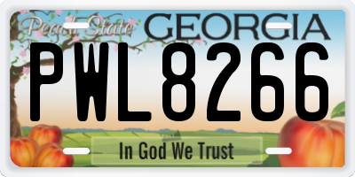 GA license plate PWL8266