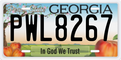 GA license plate PWL8267