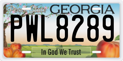 GA license plate PWL8289
