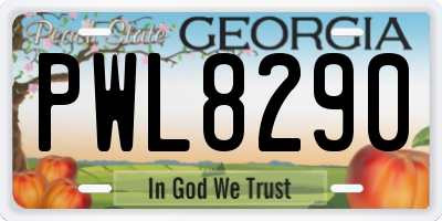 GA license plate PWL8290