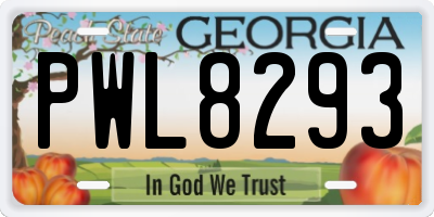 GA license plate PWL8293