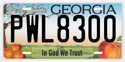 GA license plate PWL8300